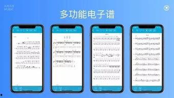 爆料视频音乐,探寻爆款背后的旋律魅力