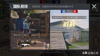 爆料视频和平精英,爆料视频揭示游戏幕后真相